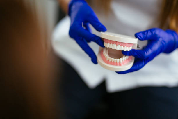 Best Cosmetic Dentistry  in Roxborough Park, CO